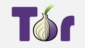 The onion router -Nutzer des Anonymisierungswerkzeugs Tor gelten als verdächtig